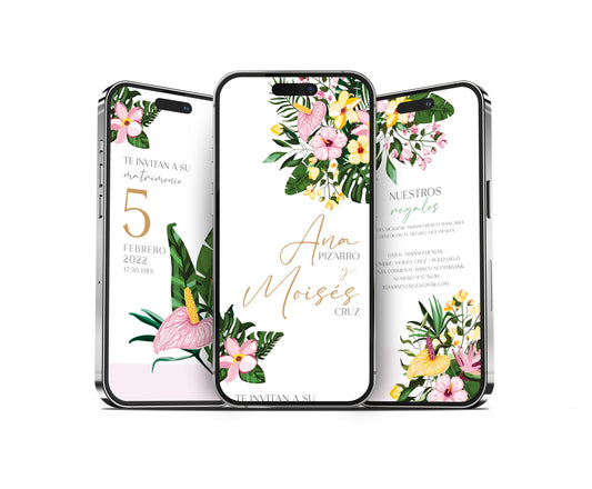 Ana hojas - Extensa prediseñada